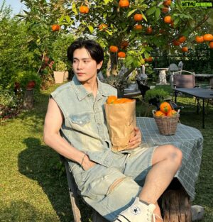 Techit Panyanarapon Instagram - 🍊🌳