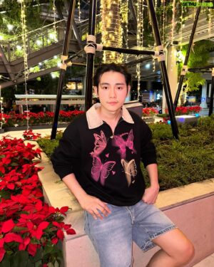 Techit Panyanarapon Instagram - 🥀🦋