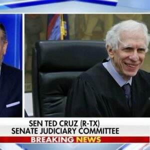 Ted Cruz Instagram - The far-left judges going after President Trump are insane. They’re doing this to embarrass him and punish him.