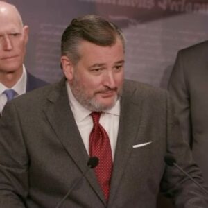 Ted Cruz Instagram - Negotiating with Chuck Schumer on the border is like putting Hannibal Lector in charge of a go-vegan ad campaign.