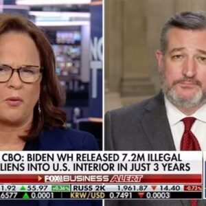 Ted Cruz Instagram - The Biden White House is setting our country up for another 9/11 if they’re letting illegal aliens on airplanes with what is essentially a government-issued fake ID.
 
If Americans have to present proper identification to board a flight—illegal aliens should too.