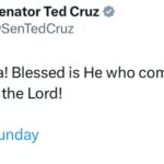 Ted Cruz
