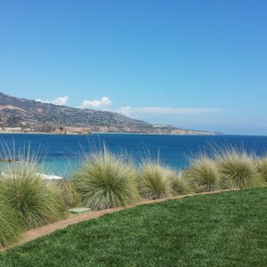 Telma Hopkins Instagram - Terranea Resort. This doesn't even look real...it is! You feel like you're away, but if your agent calls you can be back in LA in an hour or so! Or faster if there's an actual job! #thereeltee