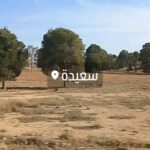 Tenou Khilouli