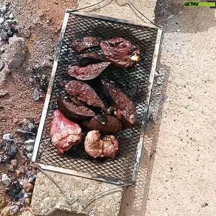 Tenou Khilouli - 82 Likes - عيدكم مبارك
