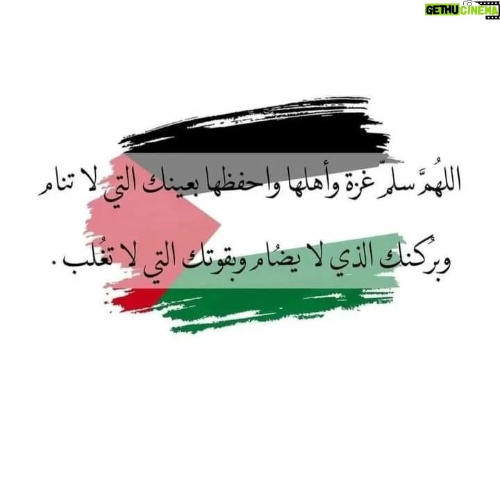Tenou Khilouli - 110 Likes - مع فلس.طين ظالمة او مظلومة🇯🇴🇩🇿