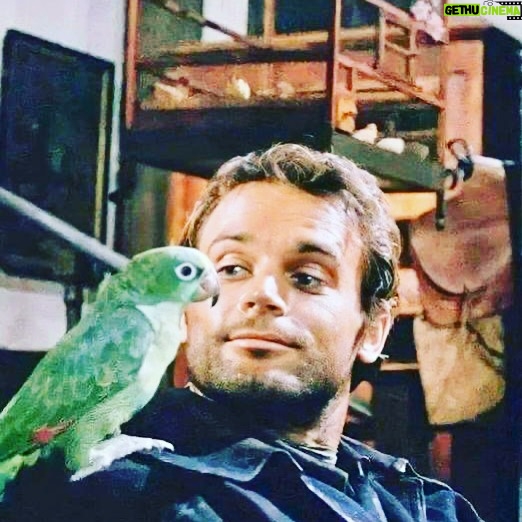 Terence Hill - 9.7K Likes - Have a great weekend friends 🤠