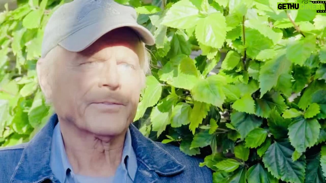 Terence Hill - 21K Likes - Ich bin sehr stolz und hoffe das Euch Don Matteo gefällt.
https://dresden.filmnaechte.de/veranstaltung/don-matteo-vier-faeuste-fuer-ein-halleluja/25-08-2022/2030
