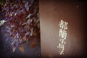 Teresa Daley Instagram - 忙碌的拍攝，偷了一小段空檔來都蘭拾回我的chill vibe🤍

#Edoulan #chillvibe #griiix
#都蘭 #糖廠