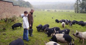 Tess Gerritsen Instagram - Now available for worldwide streaming! The film I spent 3 years making. MAGNIFICENT BEAST explores the intersection of food and religion. Go to my Facebook page for the link. (Only till 2/21)