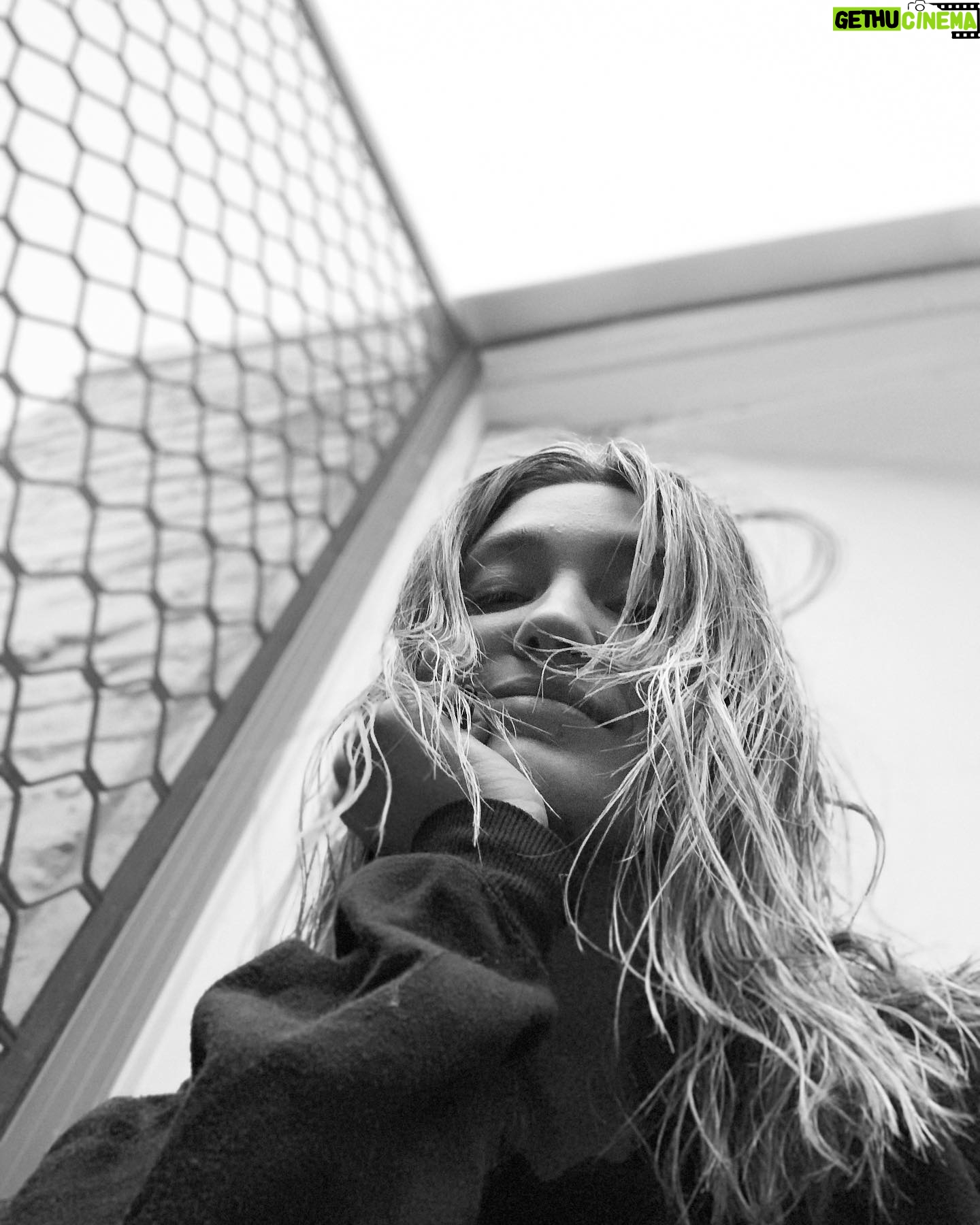 Tess Haubrich - 786 Likes -