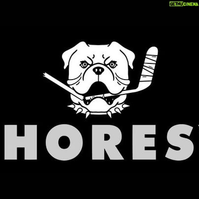 Tessa Bonhomme - 0.9K Likes - Can’t wait for thisssssss! @shoresyhockey Season 2 baby. #SudburyBlueberryBulldogs