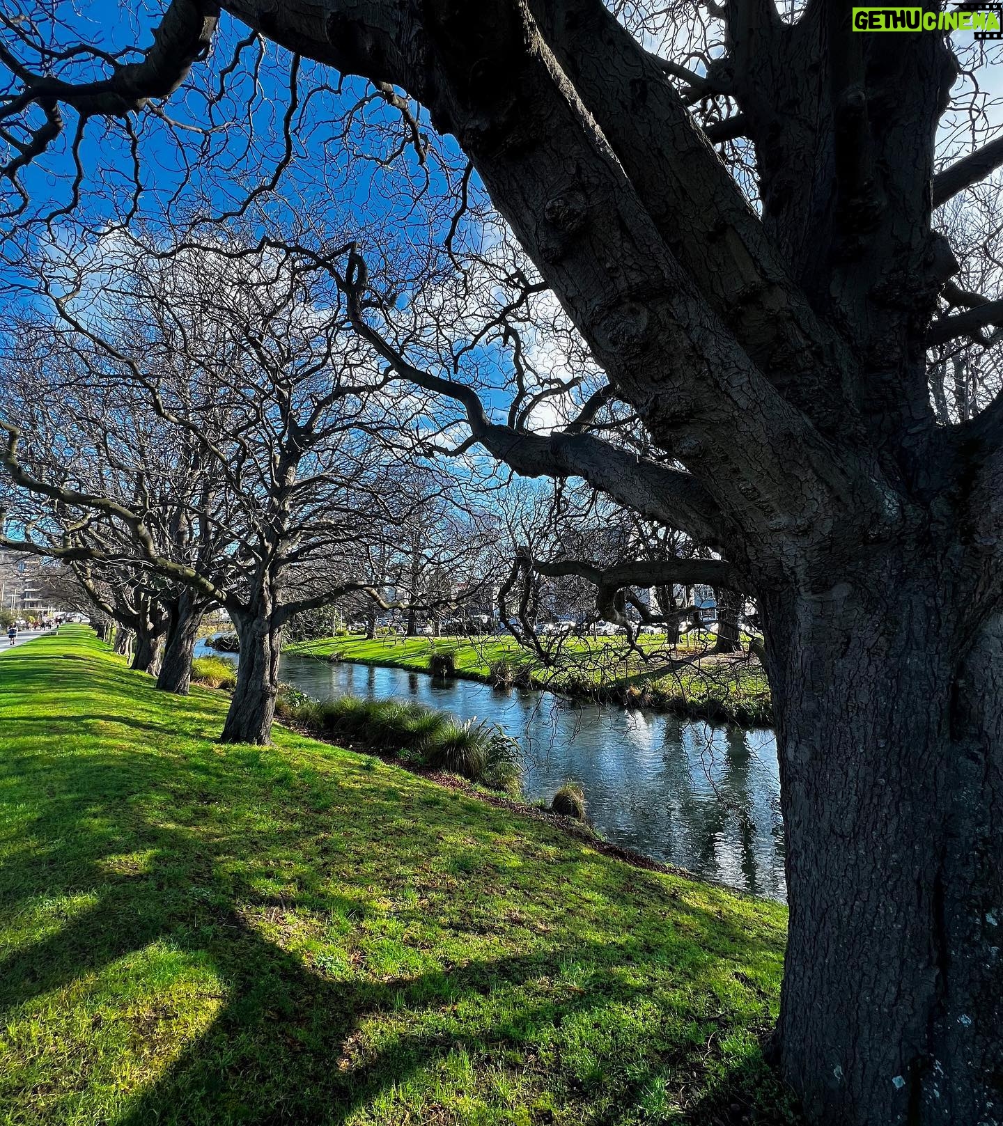 Tessa Rao - 3 Likes - Christchurch was a dream ⨠And my first proper chance to catch up with some amazing humans while touring! Highlights include beautiful reunions, chilly early morning river runs (my ears cannot take the cold), and spending every chance I got staring at the @isaactheatreroyal ceiling š§š½āāļø