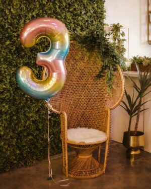 Tetona Jackson Instagram - Well… Harlie’s Dollhouse was a success! Thank you to everyone who made this party possible. Thank you @theprettyproject_ for capturing these precious moments. And a huge thank you to everyone who came out and celebrated Harlie’s special day with us 🫶🏾. Party planning is fun but I definitely need a break 🫠
