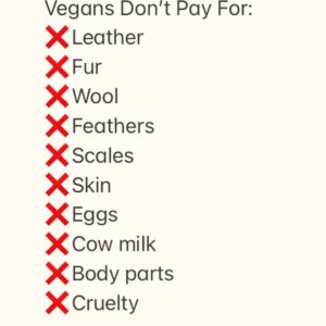 That Vegan Teacher Instagram - 
