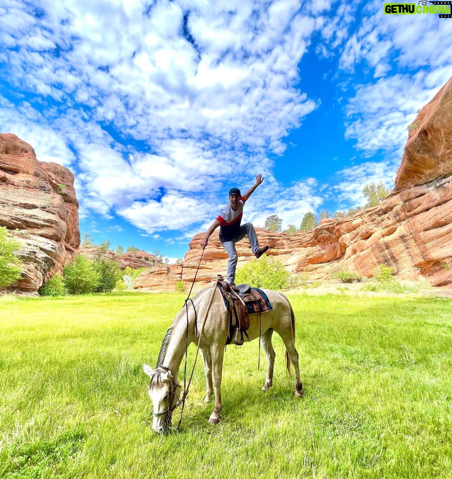 Thayne Jasperson - 7.4K Likes - 🐎….then did my splits 🤸🏻♂️
•
•
#Ninja #SeaburysInnerSpirit ✨ #Yeehaw🤠 #CantTakeTheCountryOuttaTheKid #SeaburysFreeThoughts #Hamilton