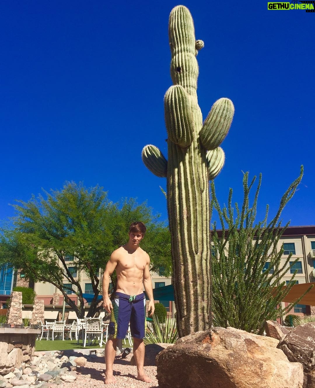 Thayne Jasperson - 7.3K Likes - Weekend: Woke up 3:30am. Got on plane. Land. 1 hr before I start work.. Heck ya I’m gonna.. 🎶 Step into the sun☀️ #AZForTheWin! #JustLOOKAtThisCactus 🌵#BlueSkies #CountryBoyForLife #SeaburysFreeThoughts