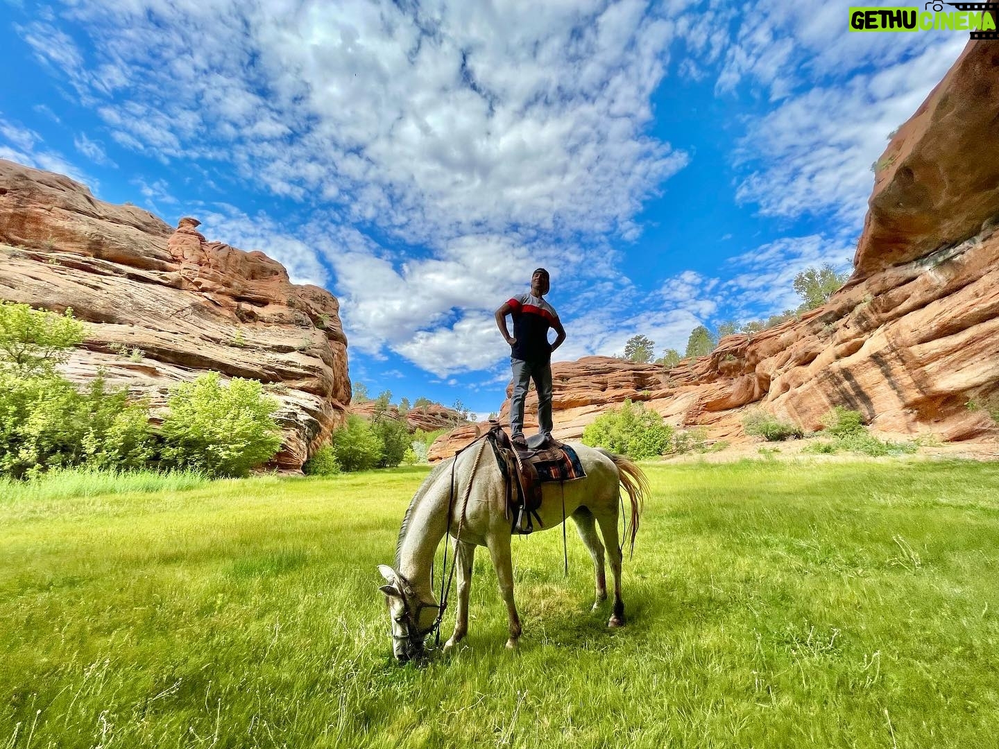 Thayne Jasperson - 8.4K Likes - 🐎Stood on a horse…
•
•
#Spirit✨#WyominUtahKid @roam.outdoor.adventures #SeaburysFreeThoughts #Hamilton