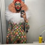 The Vixen