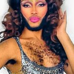 The Vixen