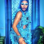 The Vixen