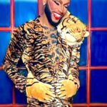 The Vixen
