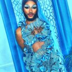 The Vixen