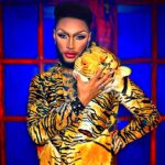 The Vixen