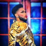 The Vixen
