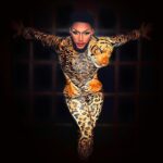 The Vixen