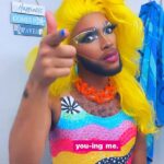 The Vixen