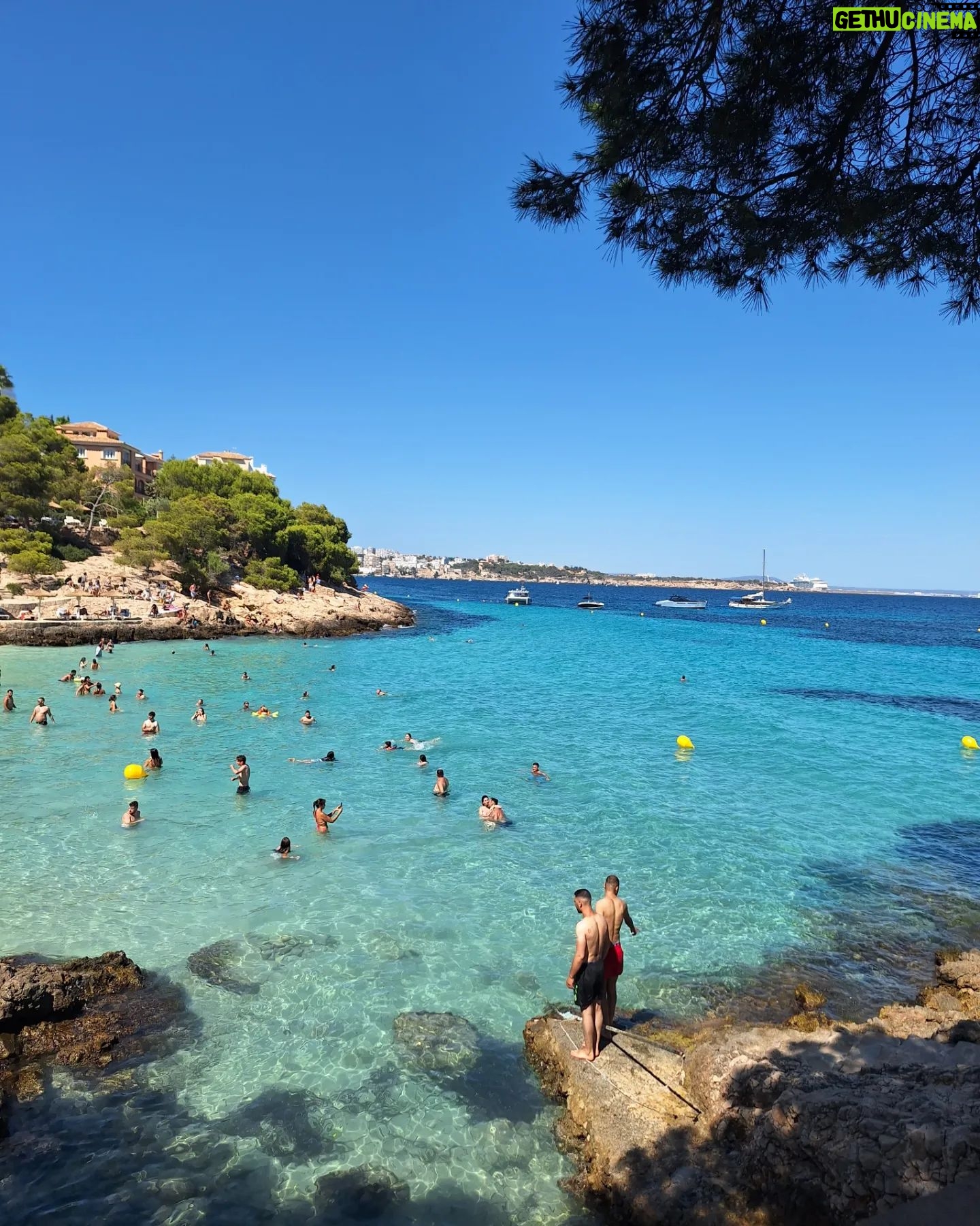 Thiago Rodrigues - 3 Likes - Que praia linda, um azul divino, um convite irrecusável!!! Mallorca certamente é uma das moradas de Deus! 🇪🇦
#mallorca
#calacomtesa
#spain