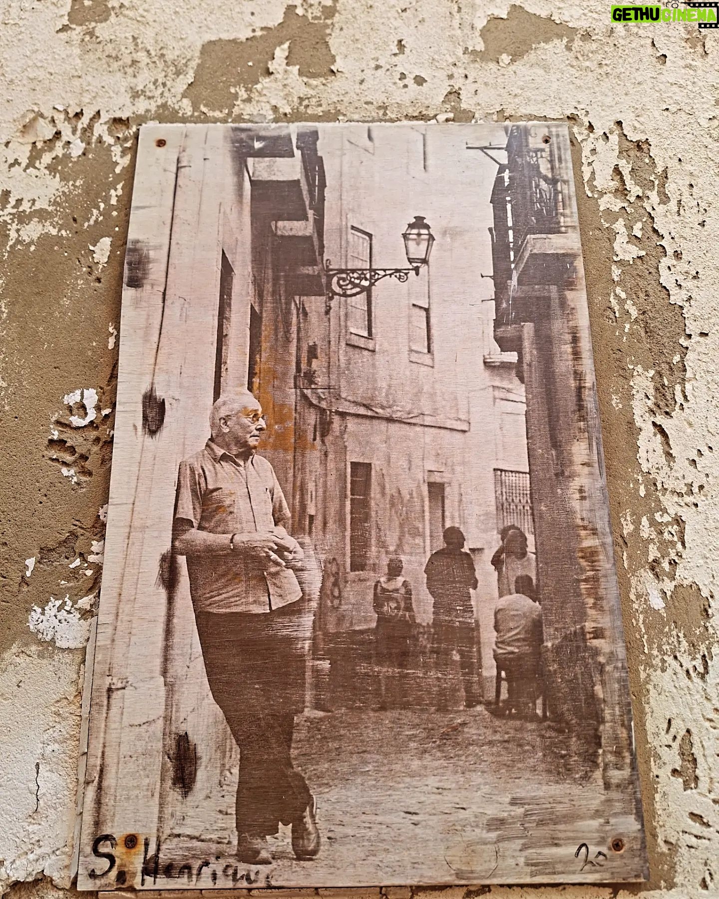 Thiago Rodrigues - 3 Likes - O Trigueirinho, um clássico!
#lisboa
#lisbon