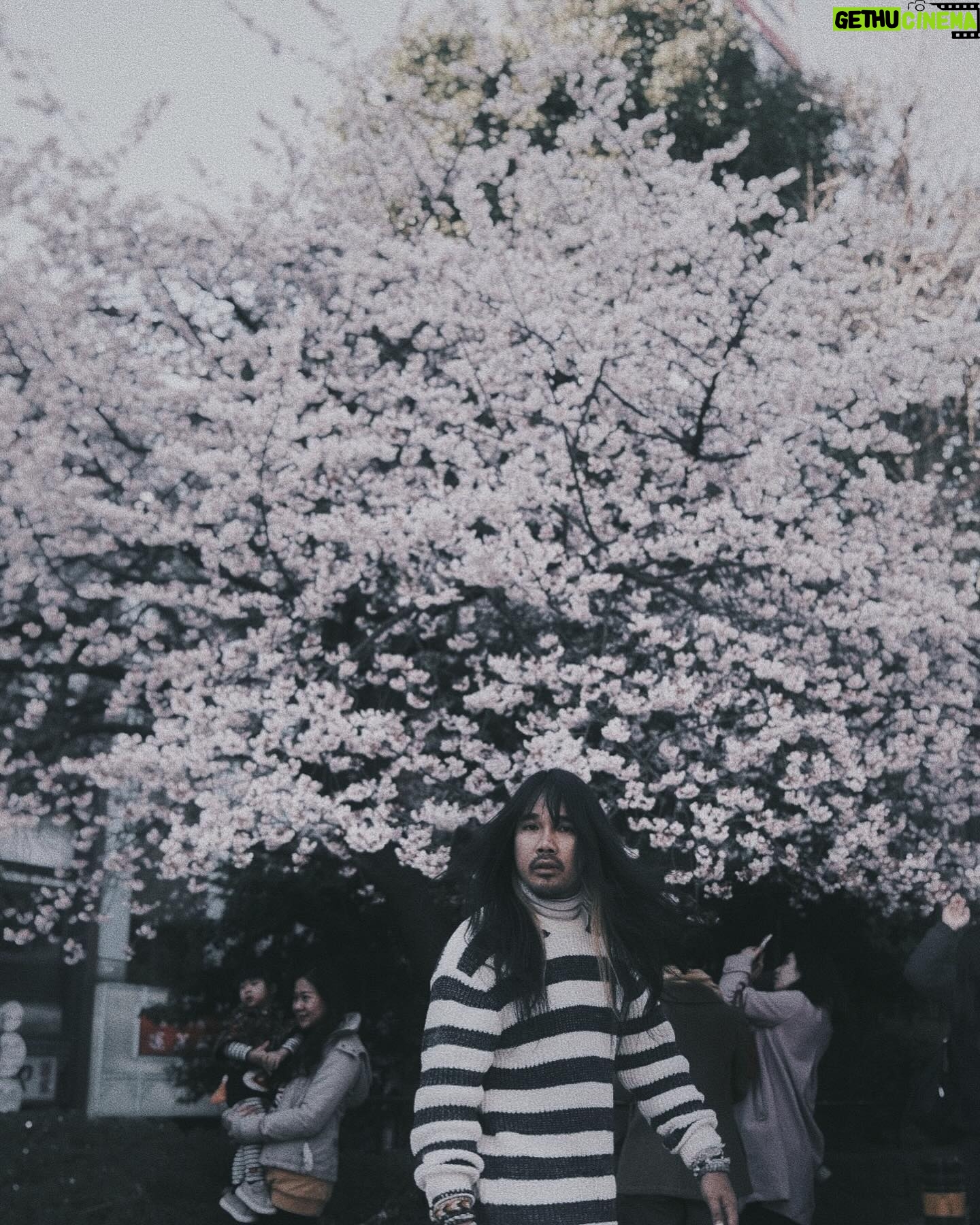 Thiti Srinuan - 8.9K Likes - ก่ อ น ซ า กุ ร ะ จ ะ ร่ ว ง โ ร ย 🌸
ญี่ปุ่น DAY 7 🇯🇵