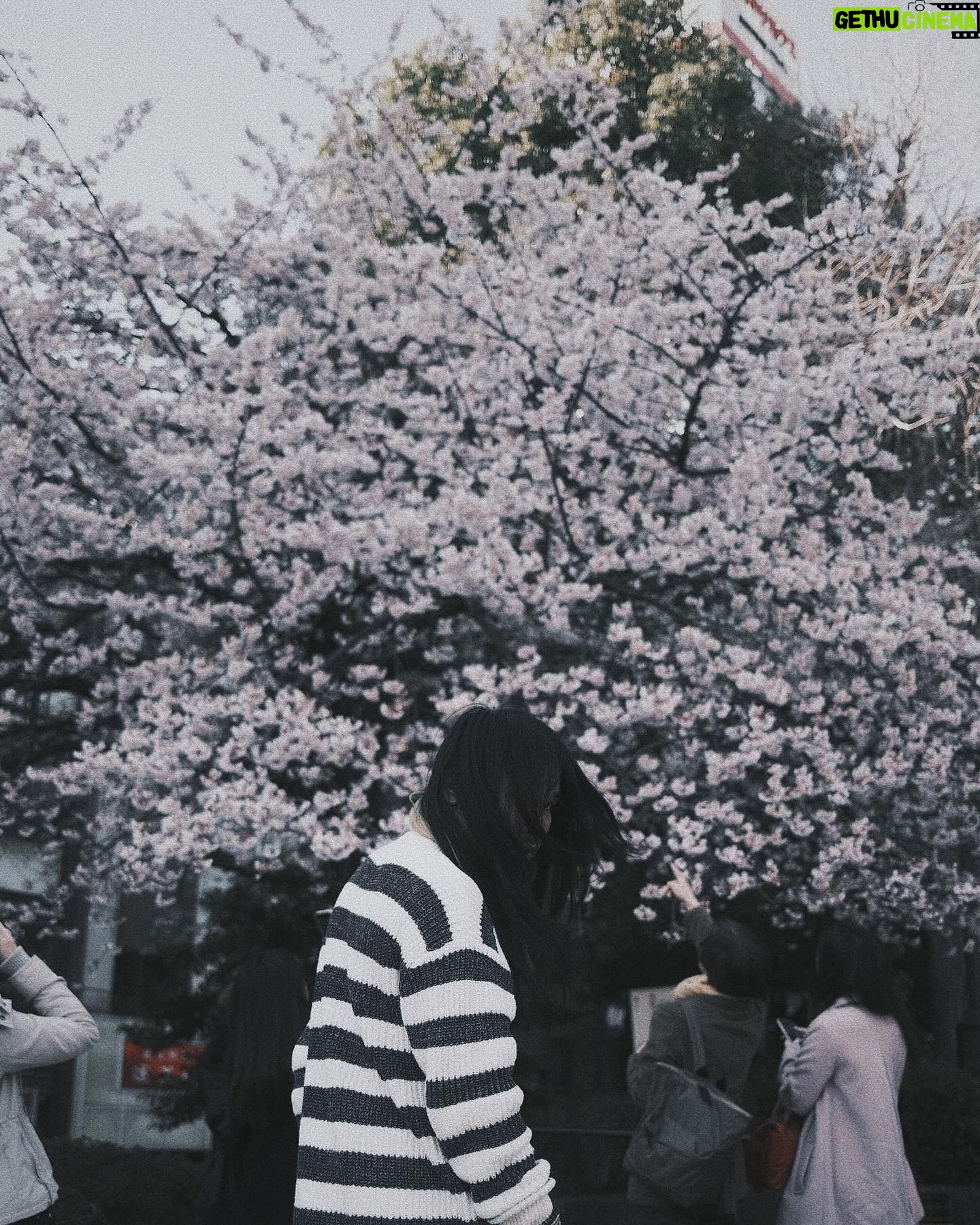 Thiti Srinuan - 8.9K Likes - ก่ อ น ซ า กุ ร ะ จ ะ ร่ ว ง โ ร ย 🌸
ญี่ปุ่น DAY 7 🇯🇵