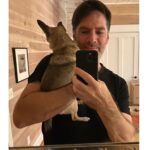 Thomas Gibson