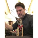 Thomas Gibson