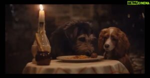 Thomas Mann Instagram - Full trailer online now for Lady and the Tramp. Streaming on @disneyplus Nov. 12th 🐶❤️🐺