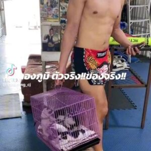 Thongpoom Siripipat Instagram - 