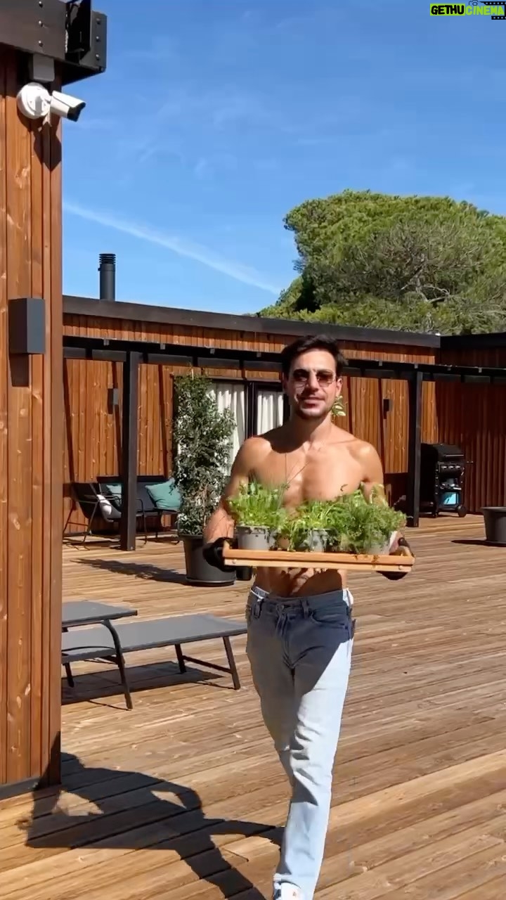 Tiago Aldeia - 603 Likes - Hoje foi dia de aproveitar o regresso do sol, e ir às compras para o espaço exterior.
Como já vos disse, a @agriloja tem tudo - um par de botas (literalmente)! E se gostam de plantas e jardinagem, preparem-se!
Arvores, flores, aromáticas, sementes, vasos, ferramentas…bom, o difícil é escolher 😅
O que acham das minhas escolhas?
Agora já estou preparado para dar um raminho de salsa aos vizinhos, é só pedir 😄