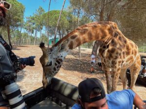Tiago Paiva Instagram - Desliza para a esquerda 😅🦒
Ps: vídeo amanhã no canal!