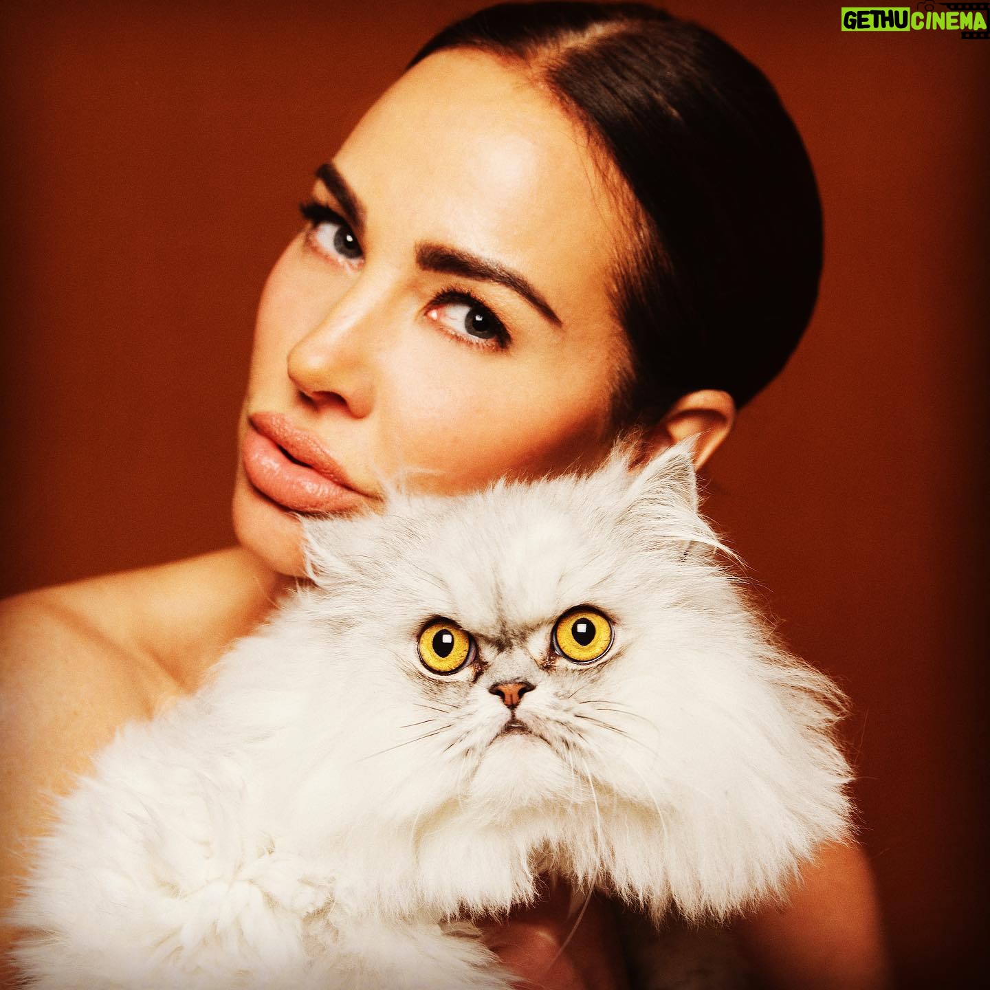 Tiffany Fallon - 3 Likes - It’s #nationalcatday 🐱 Meet Raj the prettiest #feline fur baby in all the land. @mattiesmith @disco.cowgirl #meow @alyssabarkerphoto #cat #catsofinstagram #catmodel #catlady