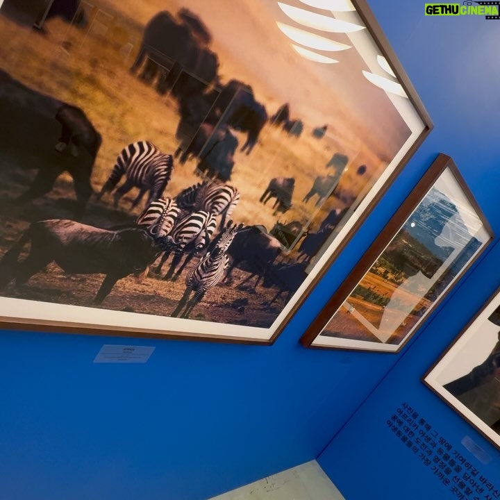 Tiger JK - 10.5K Likes - The first retrospective of Kimjungman in 10corsocomo seoul
’STILL A DREAMER‘
2024.3.22-4.21