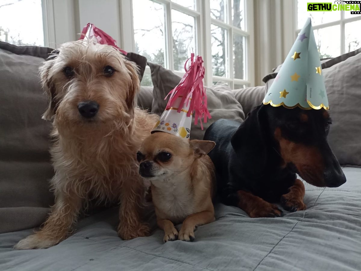 Til Schweiger - 7.1K Likes - Happy Birthday, Luna! We love u from here to the moon!❤️❤️❤️