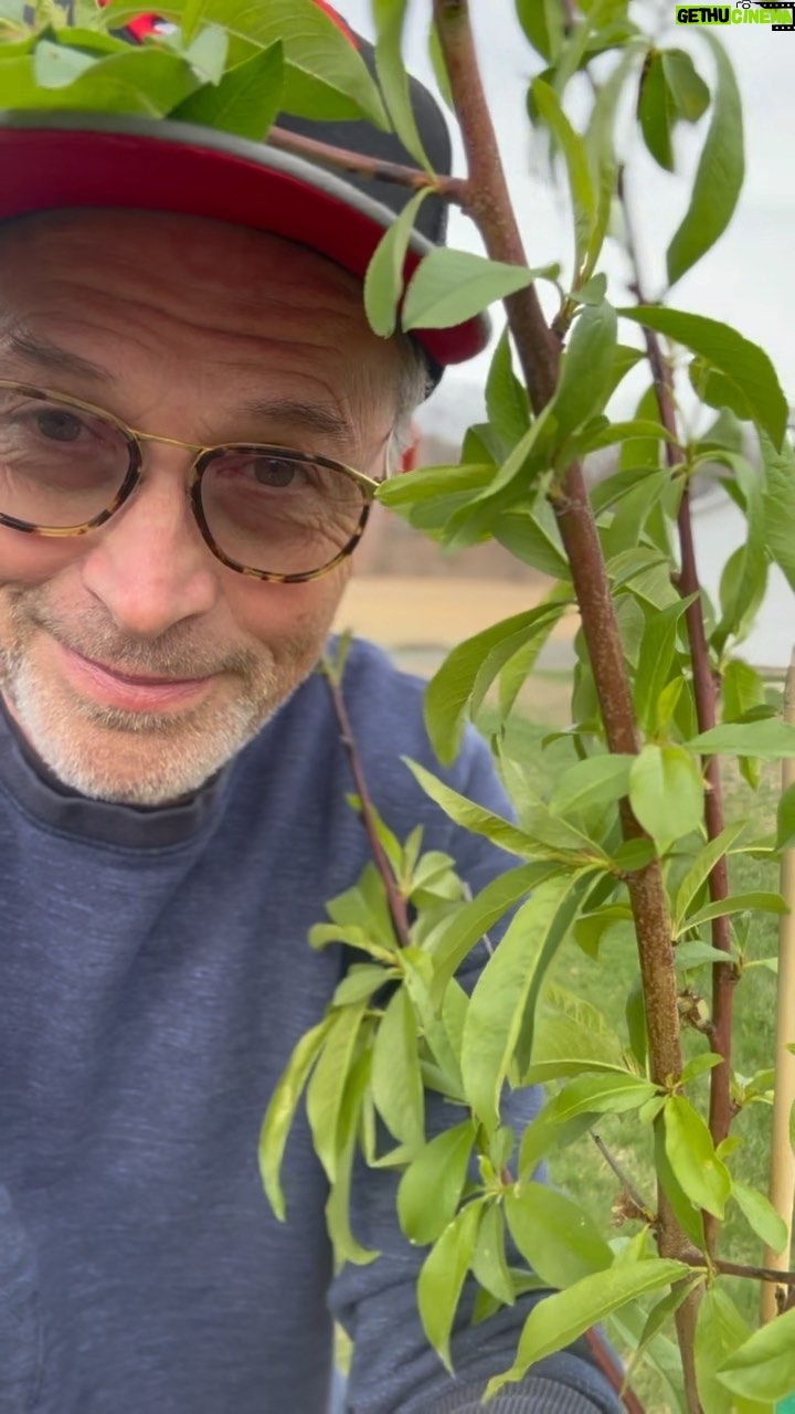 Tim Daly - 2K Likes - HUMANS!!! I planted a tree, it made me feel better.