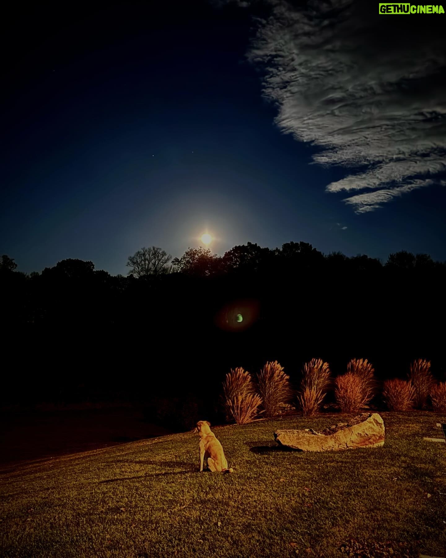 Tim Daly - 2.1K Likes - HUMANS!!! Good night from me and the pup. Howling at the moon!!