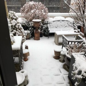 Tim Gunn Instagram - NYC’s first snowfall of the season! It’s a wonderland in my terrace! XX