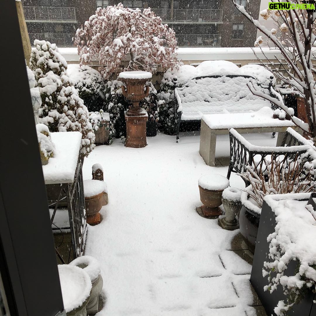 Tim Gunn - 31K Likes - NYC’s first snowfall of the season! It’s a wonderland in my terrace! XX