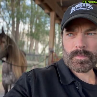 Tim Rozon - 14.9K Likes - Like I already told you. I'm all in. #e4l @diamondoaksfarmstayandride