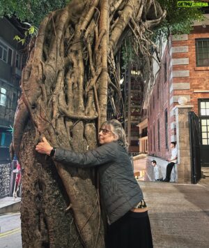 Timbuktu Instagram - My lifetime VIP visiting all the way from Lund and -although it took awhile- she finally found a tree to hug among all these hard to hug trunks out here. Madeleines, minerals, matcha, incense, orchids, kids, kicks, food, walks, talks, jetlag and even a dip in the Pacific. Its been lit Ma and if I clock 82 I pray I'm as cool as you @elainebosak.
